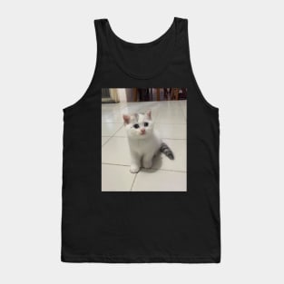 The little cute white cats Tank Top